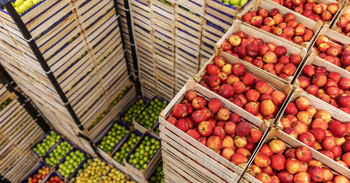 What Produce Season Means for Freight